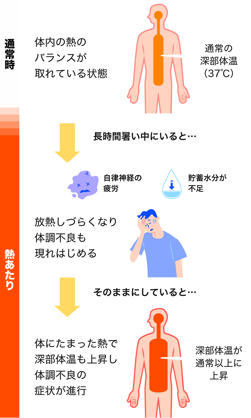 平常時：体内の熱のバランスが取れている状態→長時間暑い中にいると…→放熱しづらくなり体調不良も現れはじめる（自律神経の疲労・貯蓄水分が不足）→そのままにしていると…→体にたまった熱で深部体温も上昇し体調不良の症状が進行してしまいます。