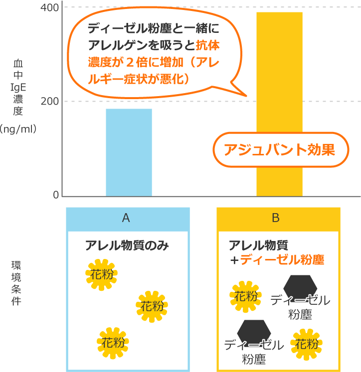 ディーゼル粉塵と一緒にアレルゲンを吸うと抗体濃度が２倍に増加（アレルギー症状が悪化）