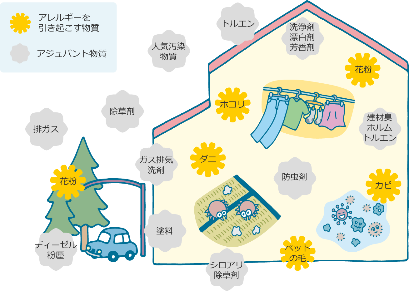 アレルギーを引き起こす物質とアジュバント物質イメージ 
