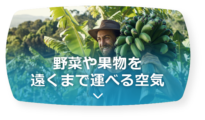 野菜や果物を遠くまで運べる空気