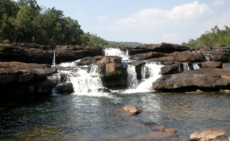 カンボジア 中央カルダモン保護林の画像