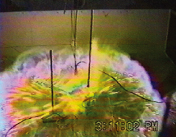 プロパン燃焼時の状態