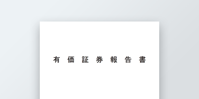 イメージ：有価証券報告書・四半期報告書
