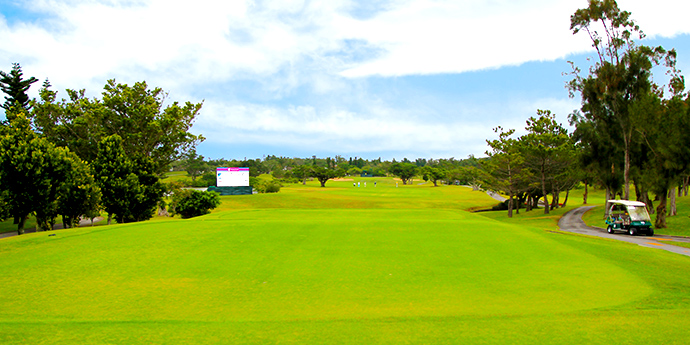 第39回大会速報