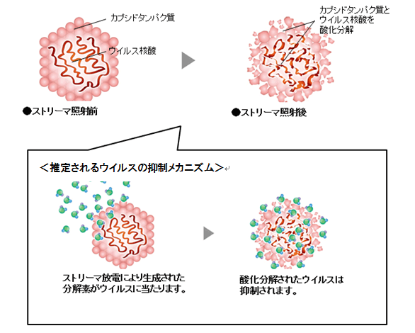 ウイルスの抑制メカニズム