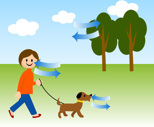 人間も動物も、植物も、すった空気とほとんど同じ量の空気をはいている