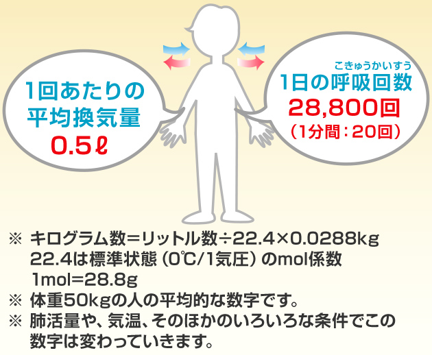 体重50kgの人の平均的な数字で計算すると、約20Kgの空気をすっていることになる