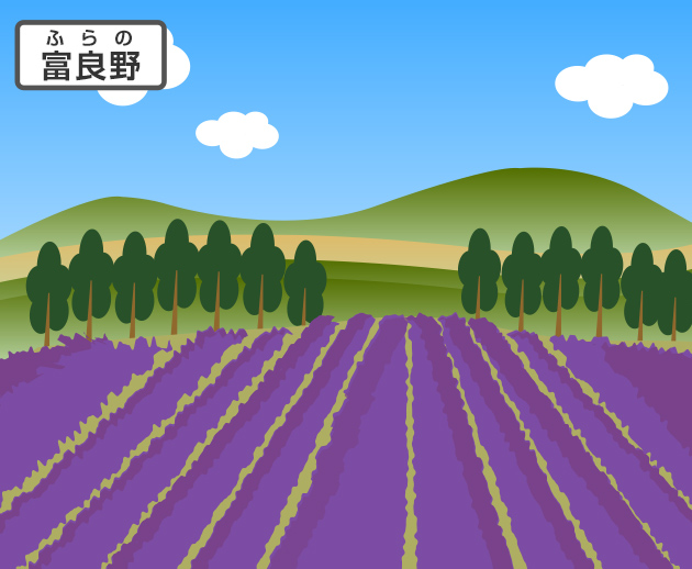 富良野はラベンダーが有名