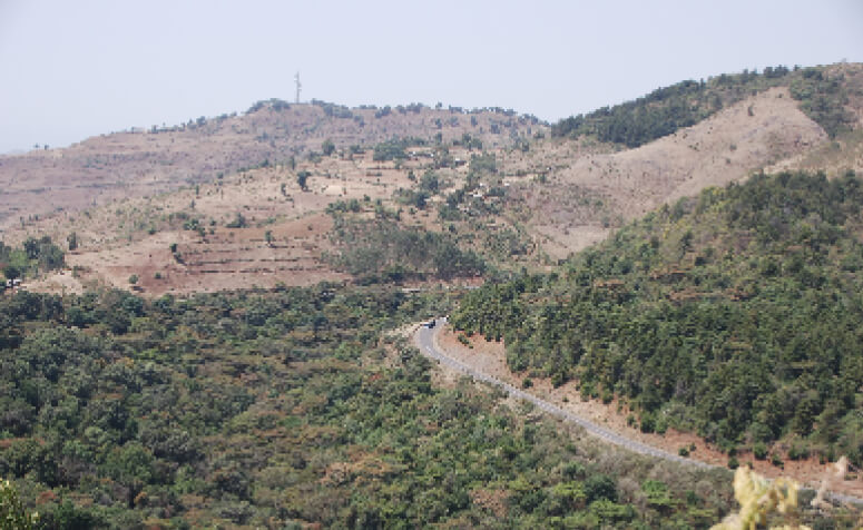 ブラジル／ボリビア アマゾン原生自然地域の画像