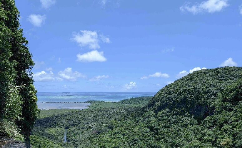 日本 西表島の画像