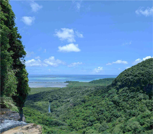 日本 沖縄県／西表島の画像
